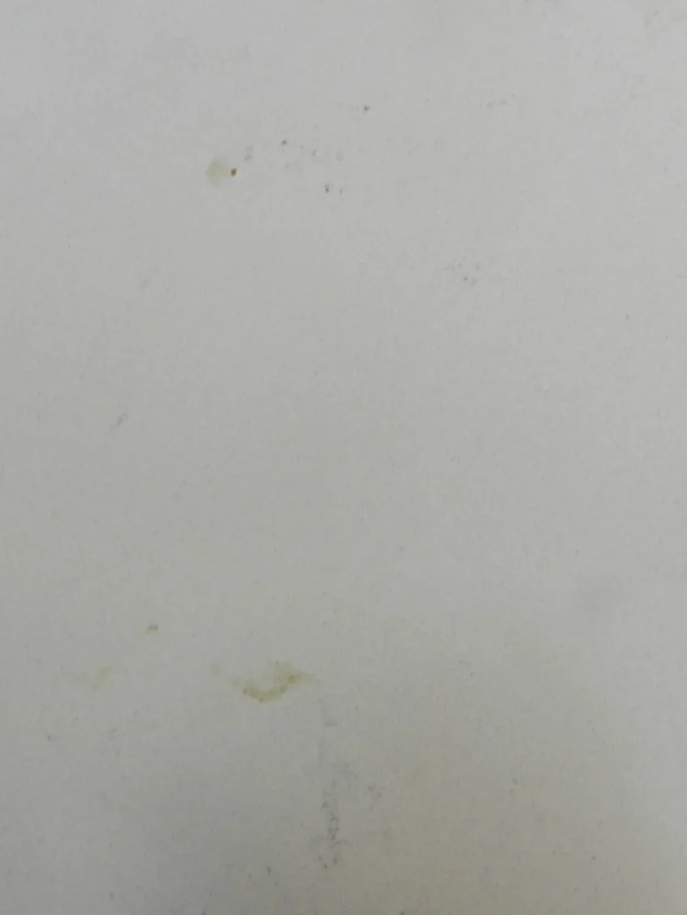 Sassafras Super Stone 3620 Vintage 13